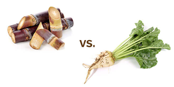 sugar beet vs sugar cane